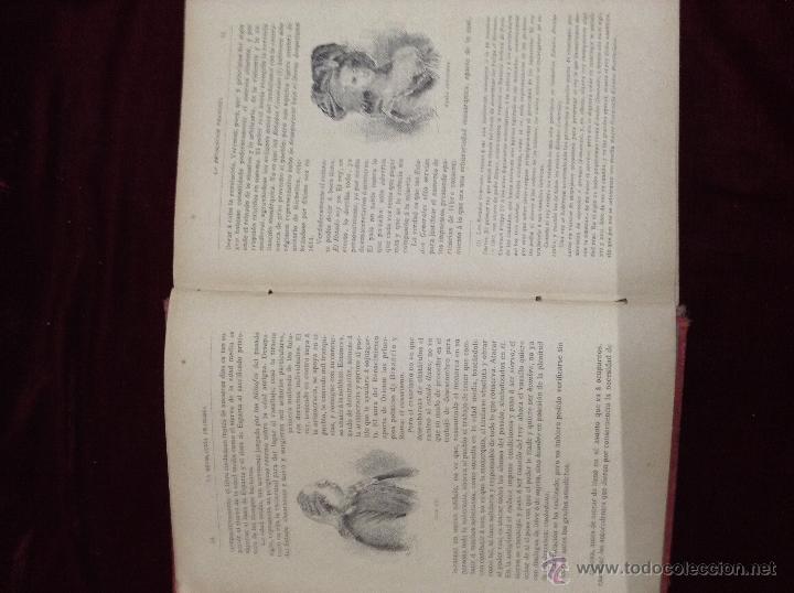 Libros antiguos: la revolucion francesa - Foto 8