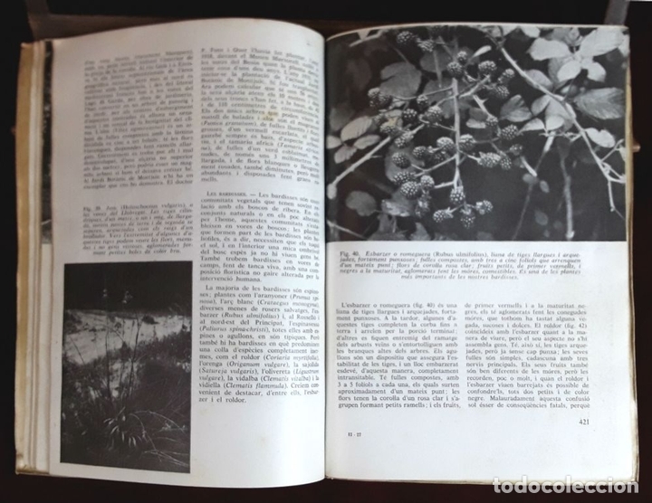 Libros antiguos: LEXCURSIONISME I LA VEGETACI&Oacute;. FRANCESC MASCLANS. LENCICLOP&Egrave;DIA DE LEXCURSIONISME. - Foto 3