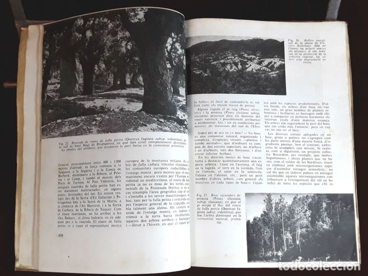 Libros antiguos: LEXCURSIONISME I LA VEGETACI&Oacute;. FRANCESC MASCLANS. LENCICLOP&Egrave;DIA DE LEXCURSIONISME. - Foto 4