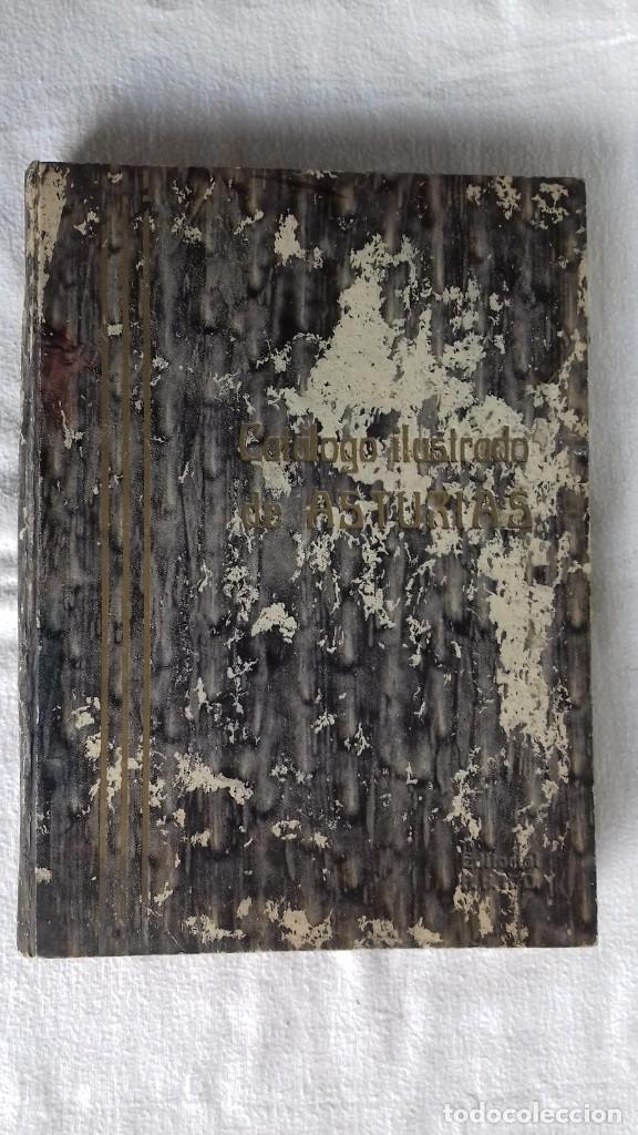 Antiquarische B&uuml;cher: CAT&Aacute;LOGO ILUSTRADO DE ASTURIAS. JOS&Eacute; CAO MOURE.1924 -1925. EDITORIAL PPKO - VIGO.