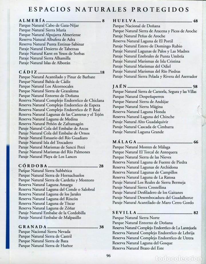 Libros antiguos: ANDALUC&Iacute;A. - Foto 2