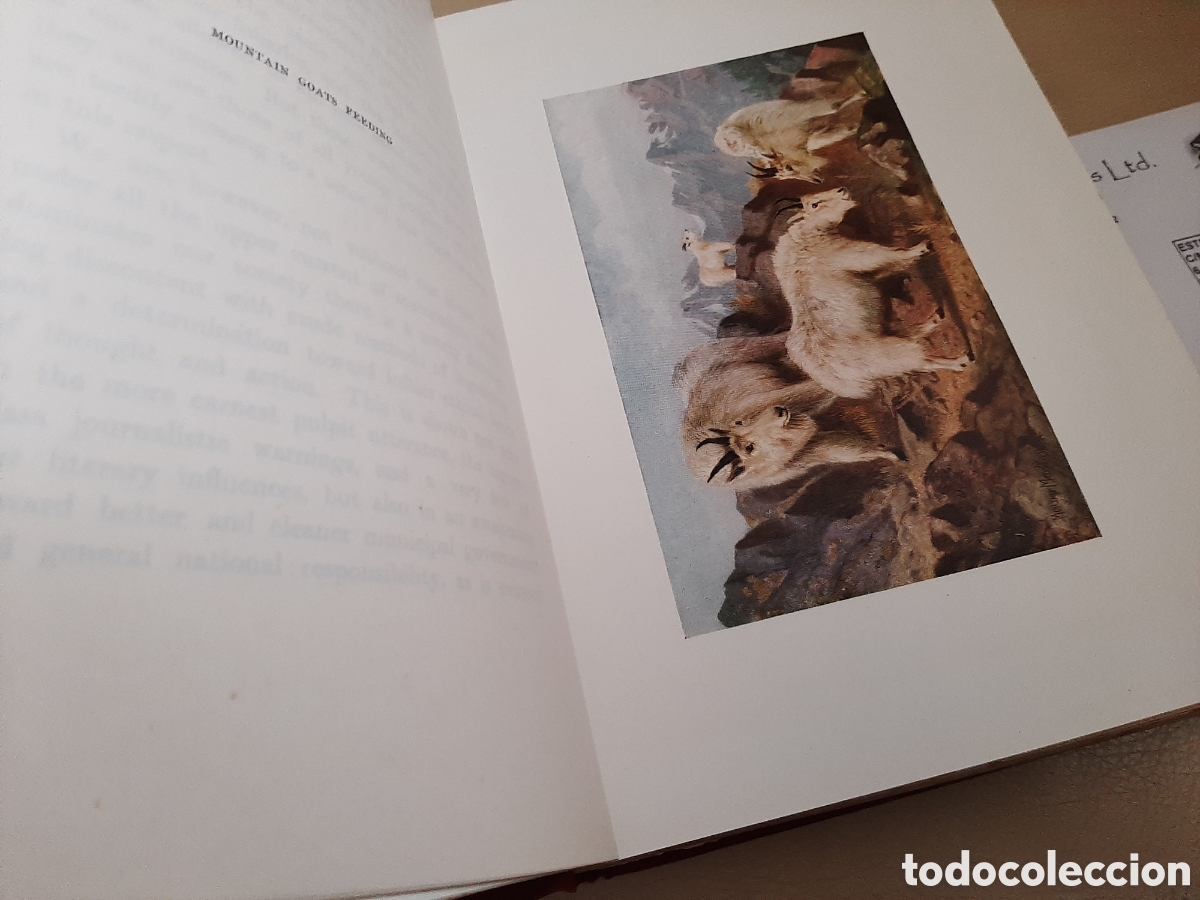 Libros antiguos: CANADA ( LIBRO ILUSTADO 1907) - Foto 7