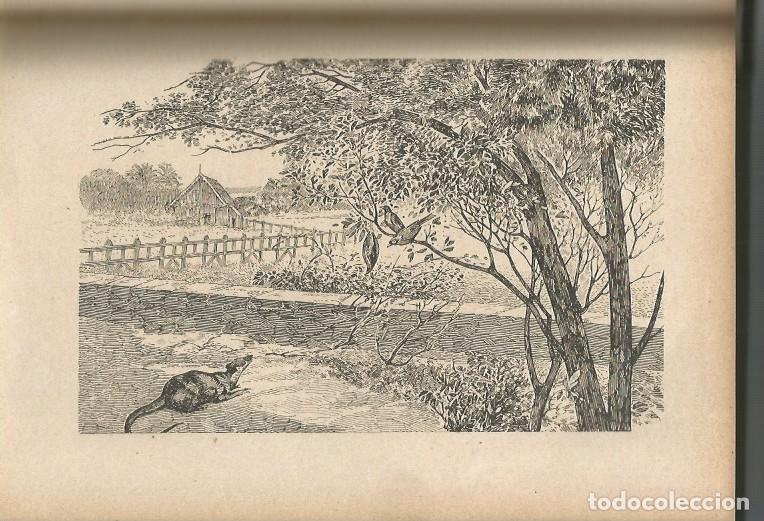 Libros antiguos: EL LIBRO DE LAS TIERRAS VIRGENES - RUDYARD KIPLING - Foto 3