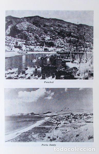 Libros antiguos: MADEIRA: DIE INSEL MADEIRA. - Foto 3