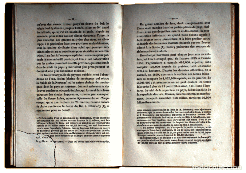 Libros antiguos: LJUNGBERG. (C.-E.) - LA SU&Egrave;DE. - Foto 3