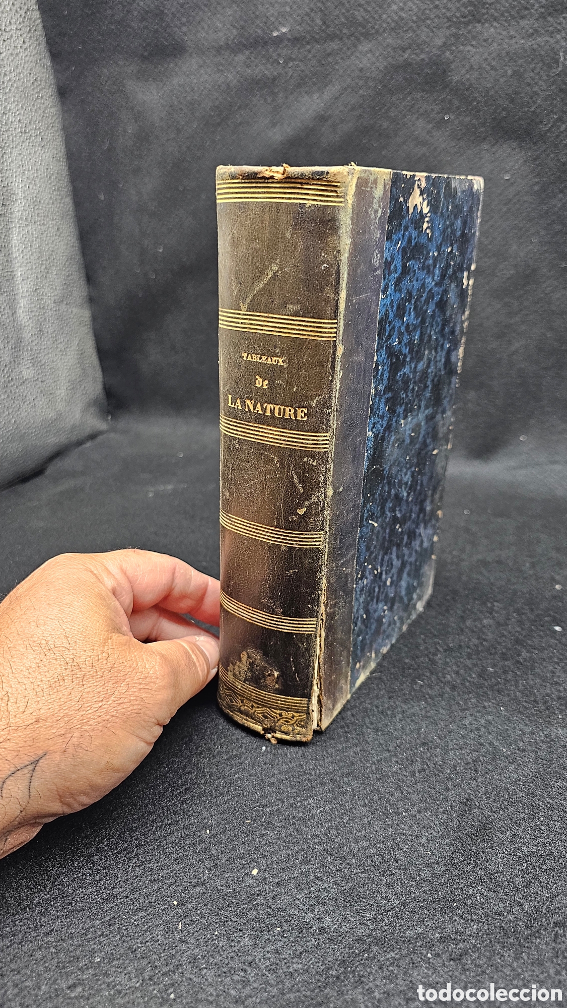 Libros antiguos: Pinturas de la naturaleza 1865 ( obras de Alejandro de Humboldt )
