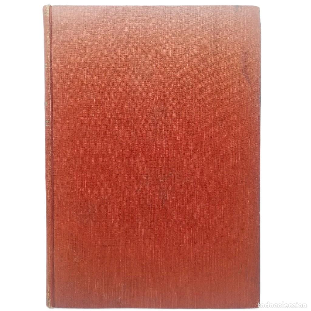 Antiquarische B&uuml;cher: SEGOVIA. Dotor y Municio, &Aacute;ngel