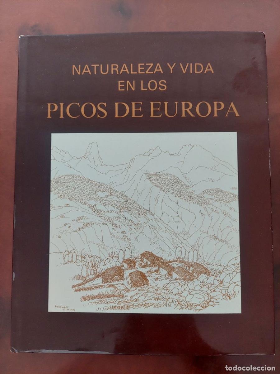 Libros antiguos: Naturaleza y vida en los Picos de Europa - VV.AA. Incafo, 1981