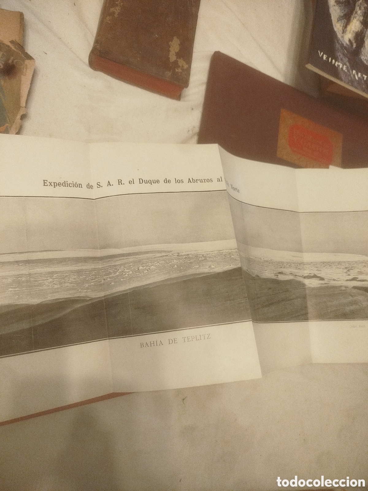 Libros antiguos: Libro Antiguo &rdquo;La Estrella Polar en el Mar &Aacute;rtico&rdquo; (1903) - Duque de los Abruzos