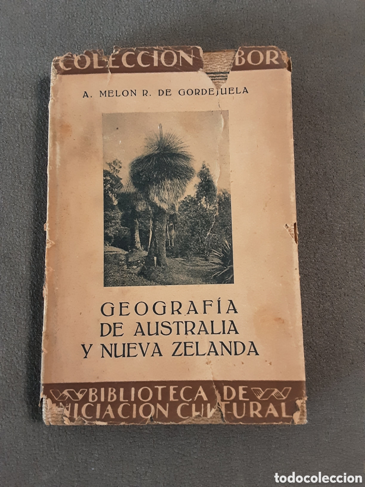Libros antiguos: Libro Geograf&iacute;a de Australia y Nueva Zelanda