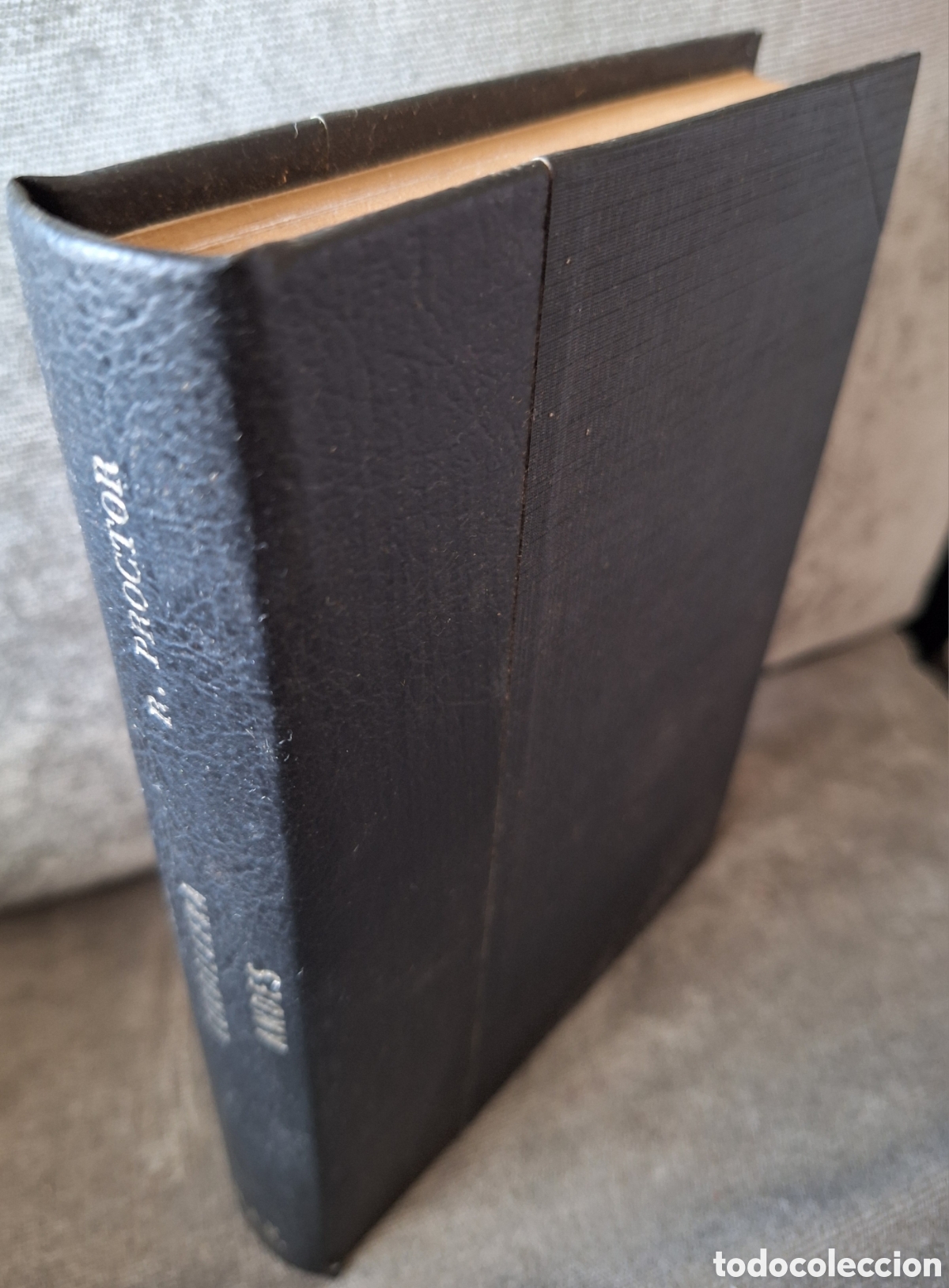 Libros antiguos: PROCTOR NARRACION DEL VIAJE POR LA CORDILLERA DE LOS ANDES EDICION A&Ntilde;O 1919 BUENOS AIRES W UNION