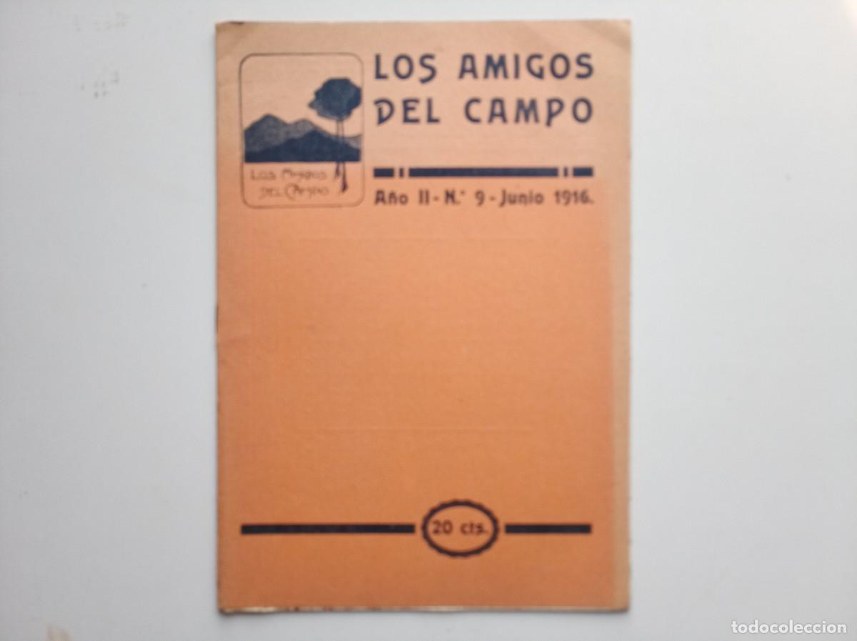 Libros antiguos: LOS AMIGOS DEL CAMPO. JUNIO 1916. REVISTA DE EXCURSIONISMO. FOLIO MENOR. MUY ILUSTRADO.