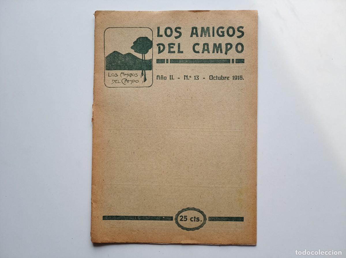 Libros antiguos: LOS AMIGOS DEL CAMPO. OCTUBRE 1916. REVISTA DE EXCURSIONISMO. FOLIO MENOR. MUY ILUSTRADO.