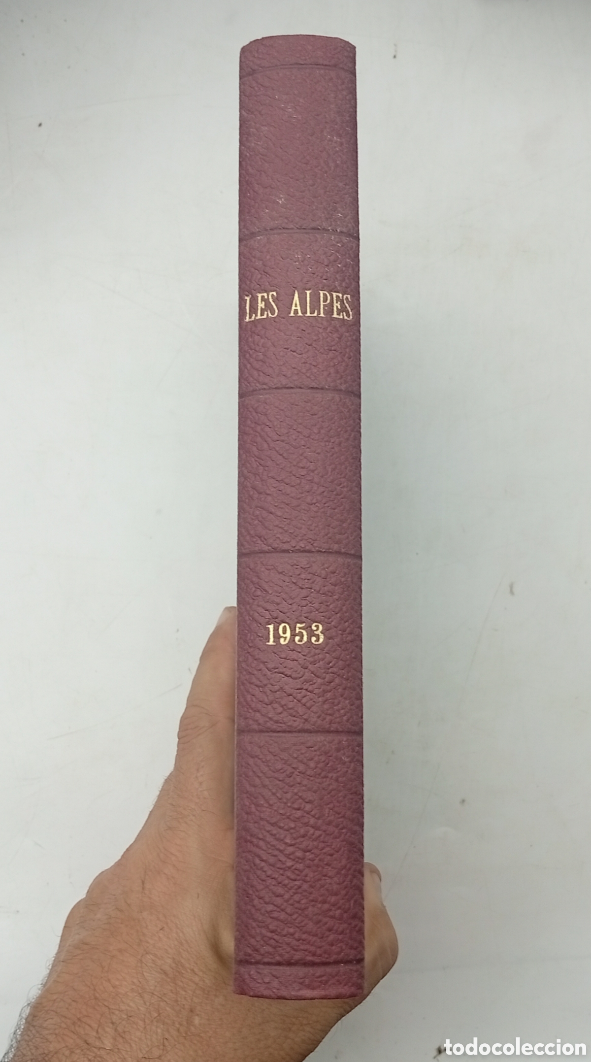 Libri antichi: Les alpes Die Alpen a&ntilde;o 1953
