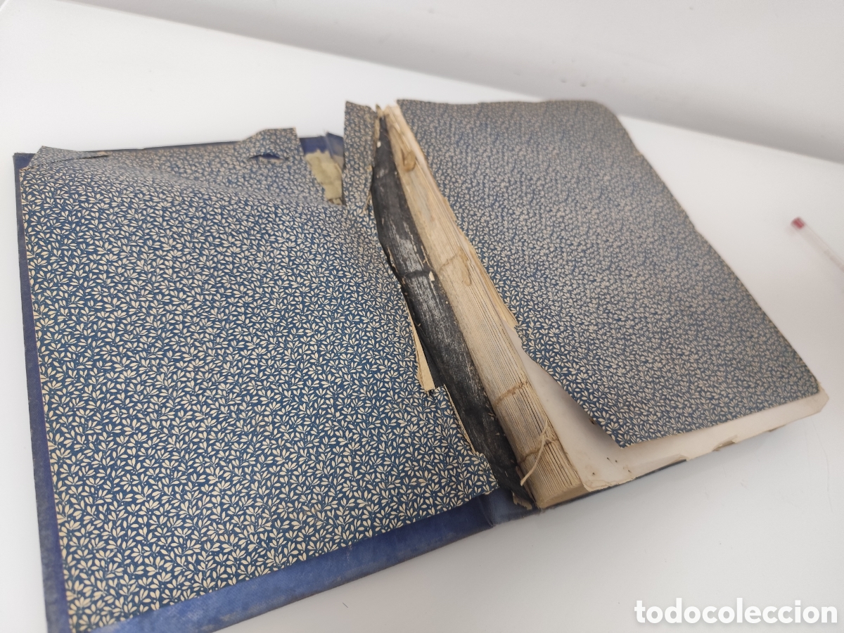 Libros antiguos: AURELIO DE LLANO. BELLEZAS DE ASTURIAS. 1928. ASTURIAS. PRIMERA EDICION. MAL ESTADO- VER DESCRIPCION - Foto 5