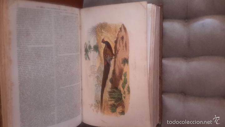 Libros antiguos: Libro - Foto 3