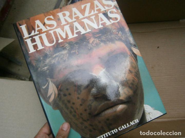 Libros antiguos: LOTE DE LAS RAZAS HUMANAS&iexcl;&iexcl;&iexcl; - Foto 8