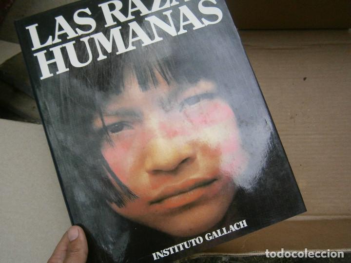 Libros antiguos: LOTE DE LAS RAZAS HUMANAS&iexcl;&iexcl;&iexcl; - Foto 9