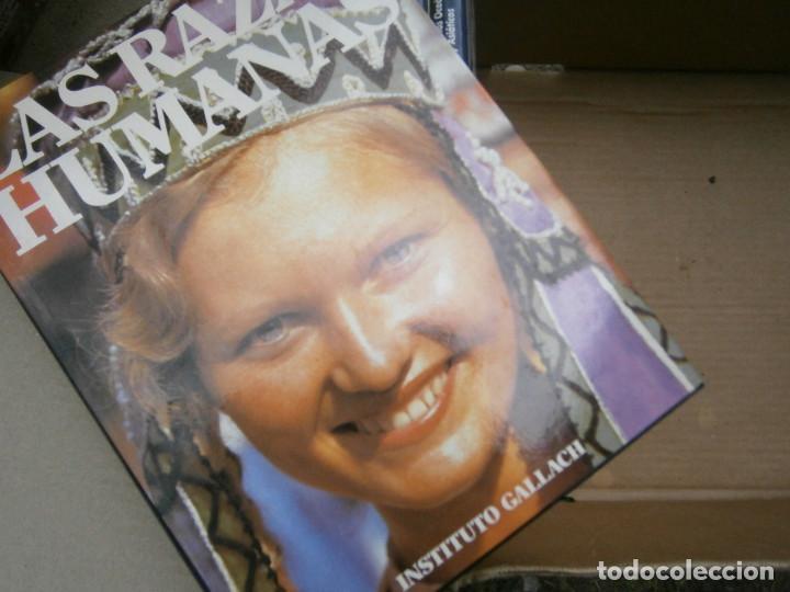 Libros antiguos: LOTE DE LAS RAZAS HUMANAS&iexcl;&iexcl;&iexcl; - Foto 10