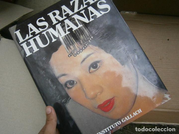 Libros antiguos: LOTE DE LAS RAZAS HUMANAS&iexcl;&iexcl;&iexcl; - Foto 11