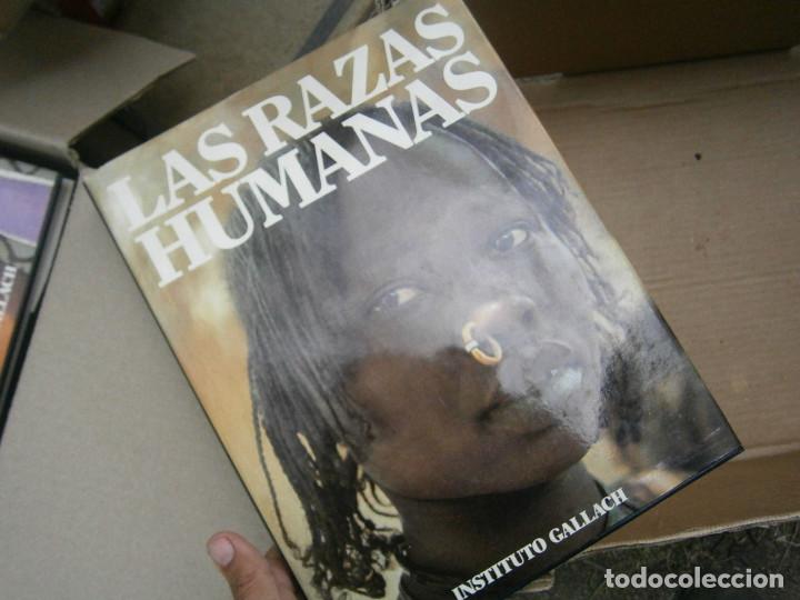 Libros antiguos: LOTE DE LAS RAZAS HUMANAS&iexcl;&iexcl;&iexcl; - Foto 12