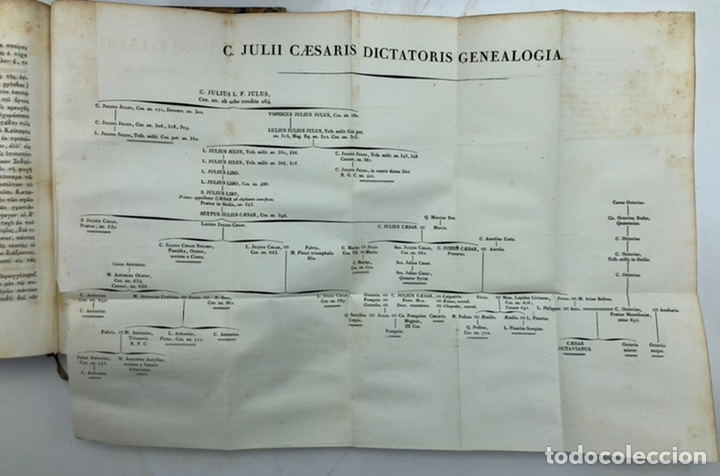 Libros antiguos: Opera Omnia Caesar, 1819. 4 tomos. Completo. - Foto 23