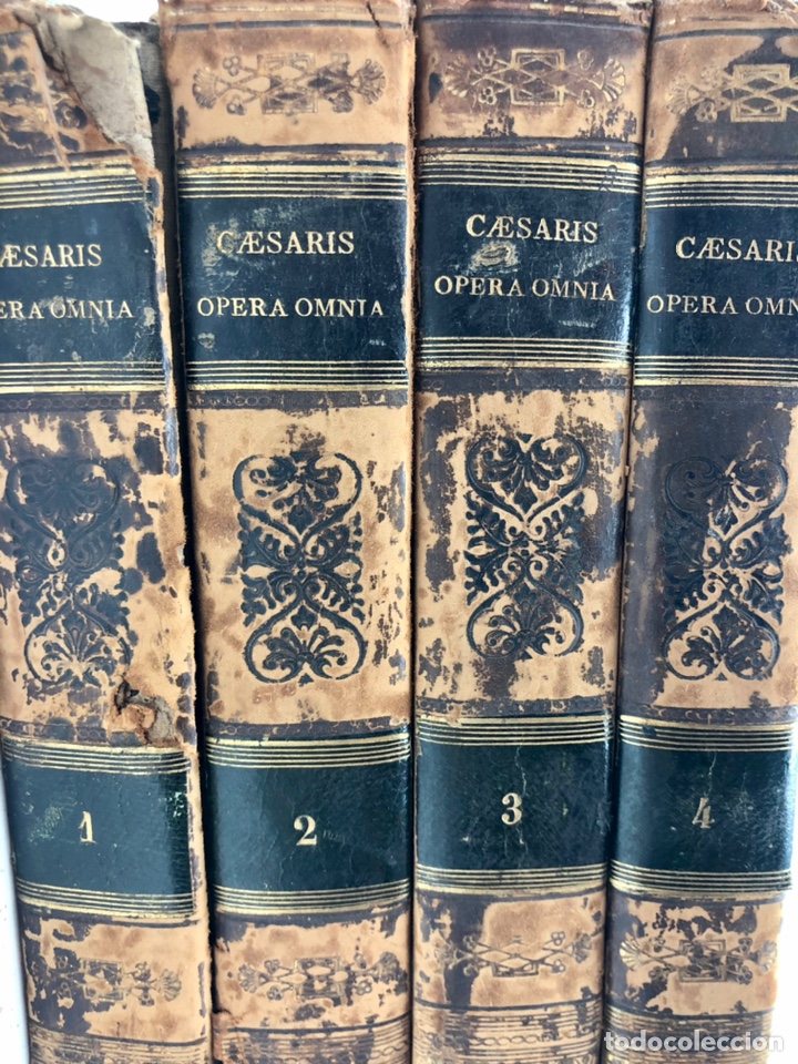 Libros antiguos: Opera Omnia Caesar, 1819. 4 tomos. Completo. - Foto 36