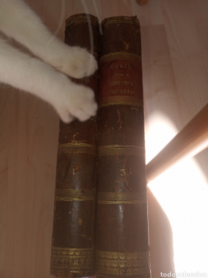 Libros antiguos: Historia Universal Cesay Cant&uacute; - Foto 2