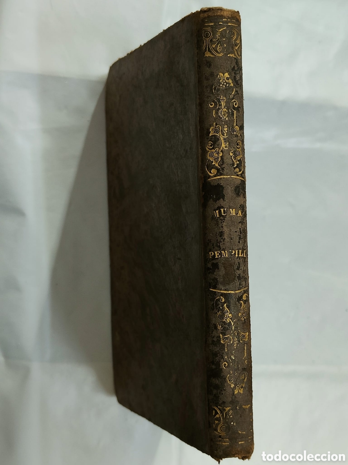 Libros antiguos: NUMA POMPILLO a&ntilde;o 1850 - Foto 7
