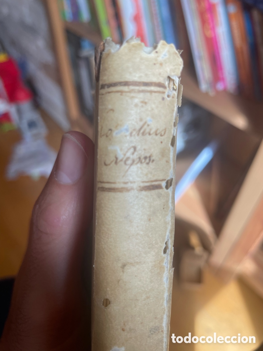 Libros antiguos: CORNELIUS NEPOS DE VITIS EXCELLENTIUM - 1817 - Foto 18
