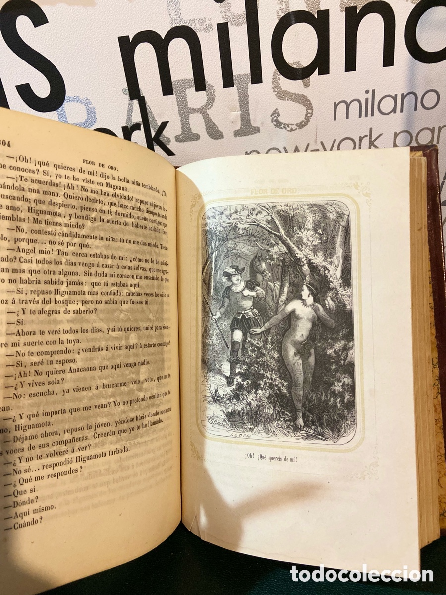 Libros antiguos: Flor de Oro - Cristobal Colon - B5 - Foto 9