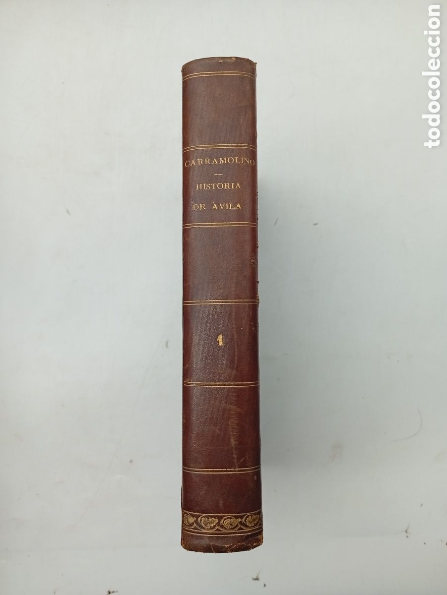 Libros antiguos: Historia de &Aacute;vila primer volumen 1872