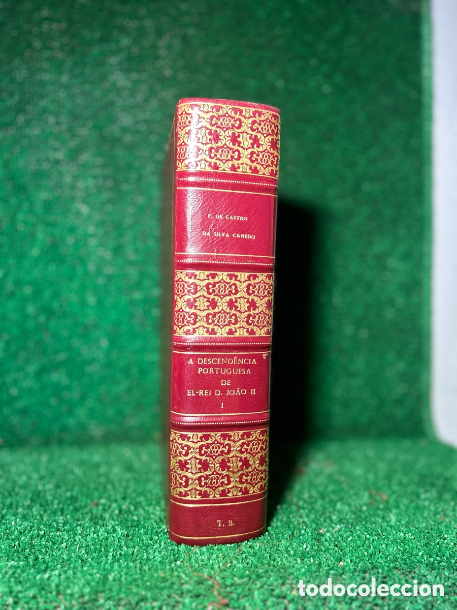 Libros antiguos: DESCENDENCIA PORTUGUESA DEL REY JOAO II - A4