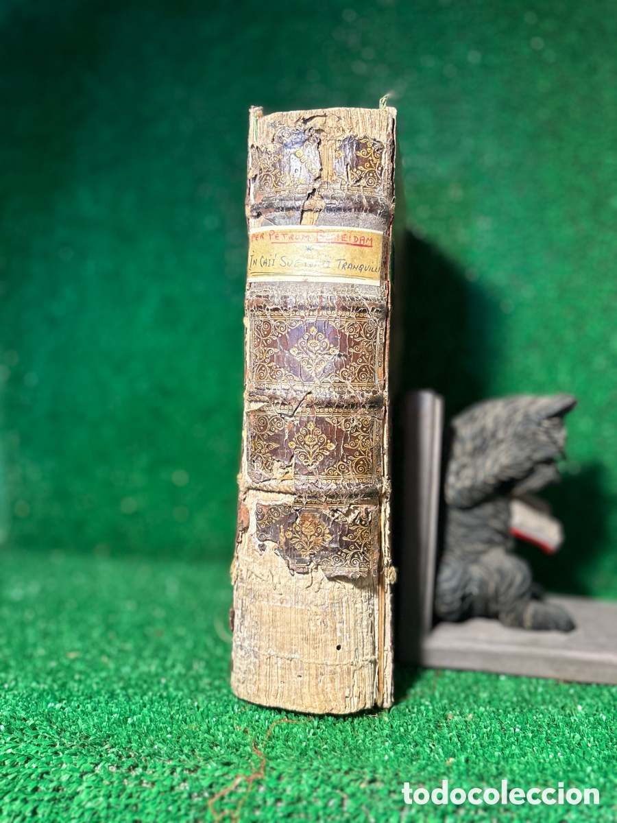 Libros antiguos: SUETONIO - LOS DOCE CESARES - 1727 -B4