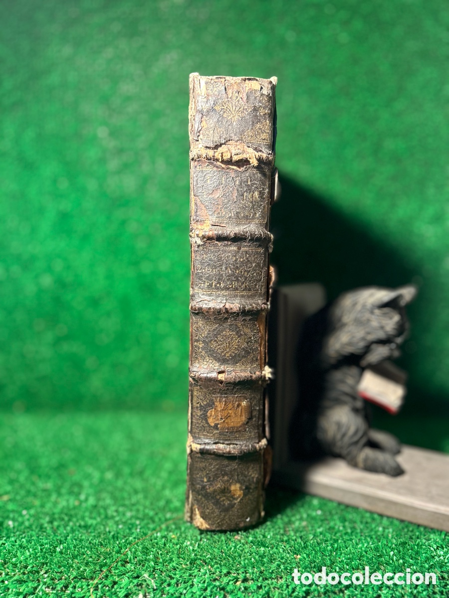 Libros antiguos: FREINSHEIM - SUPLEMENTOS DE LIVIO - 1679 -B4