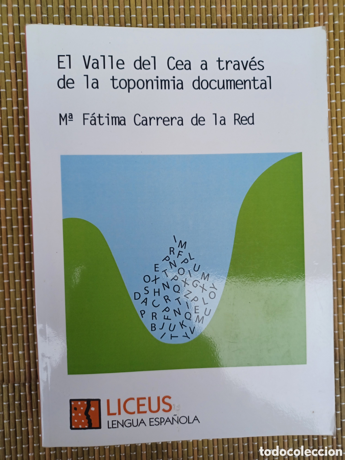 Libros antiguos: El VALLE DEL CEA a traves de la TOPONIMIA documental- M. F&aacute;tima CARRERA DE LA RED