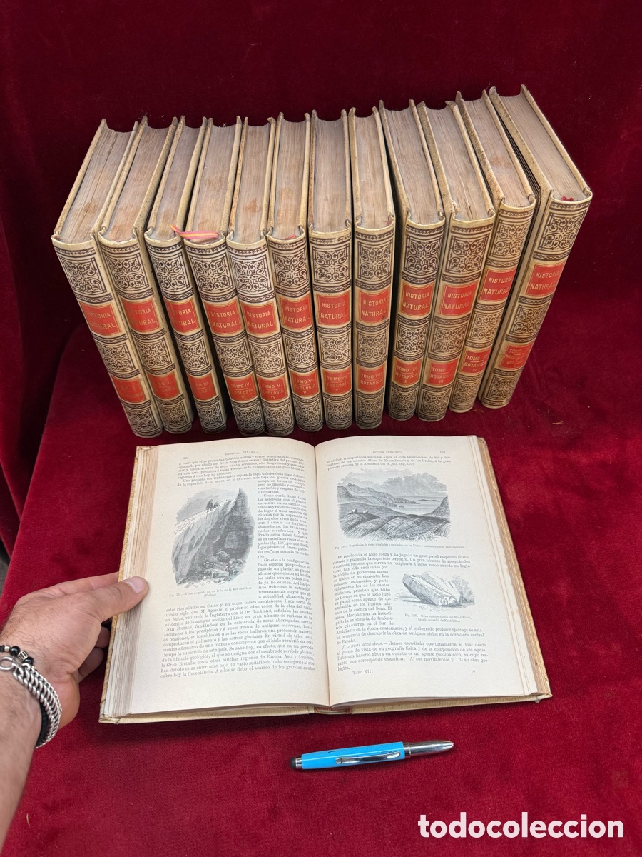 Livres anciens: Coleccion completa de 1895,Historia Natural