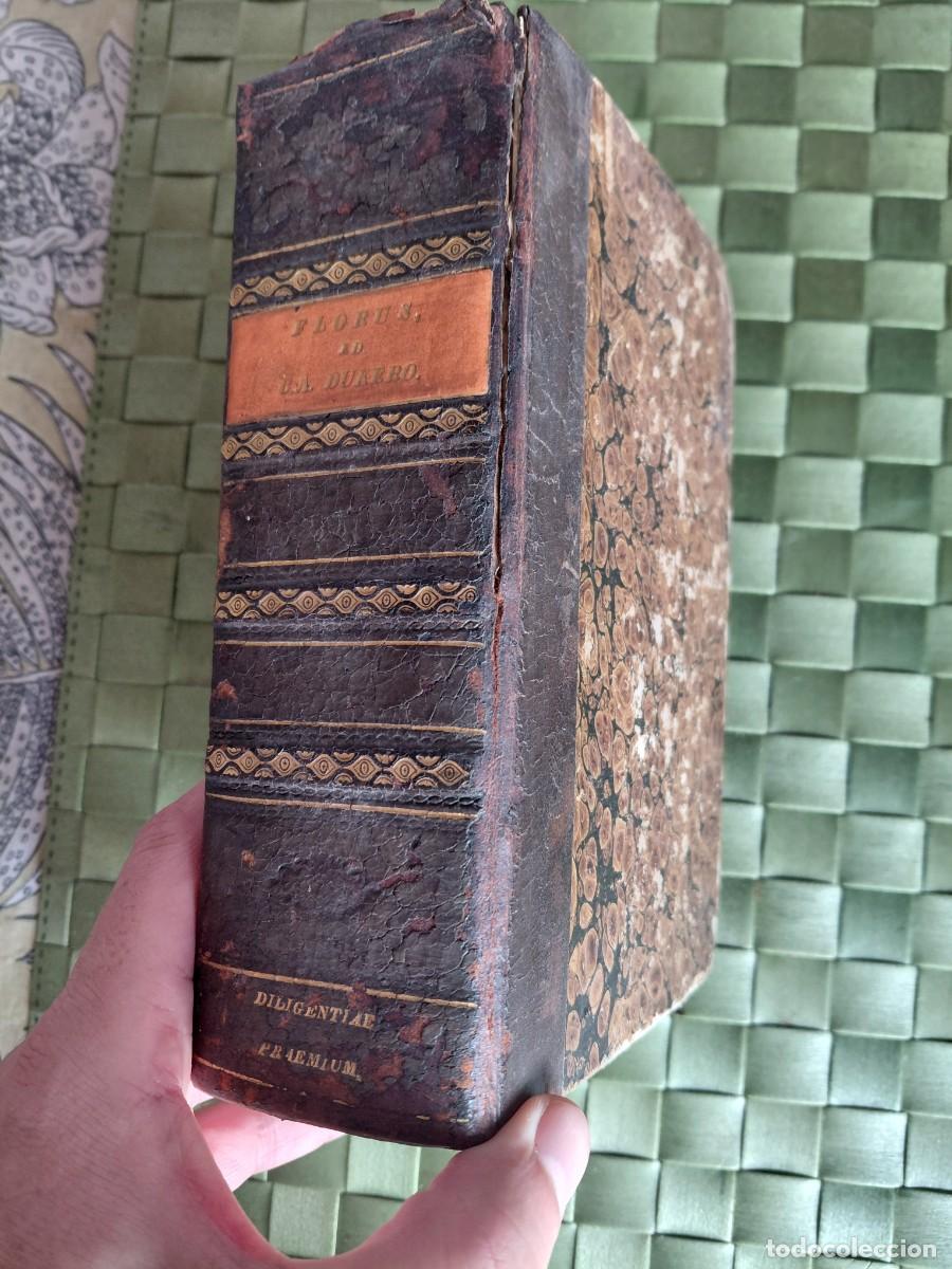 Libros antiguos: L. Annaei Flori Epitome Rerum Romanorum.