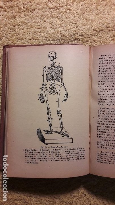Libros antiguos: Historia natural    j. Langlebert - Foto 3