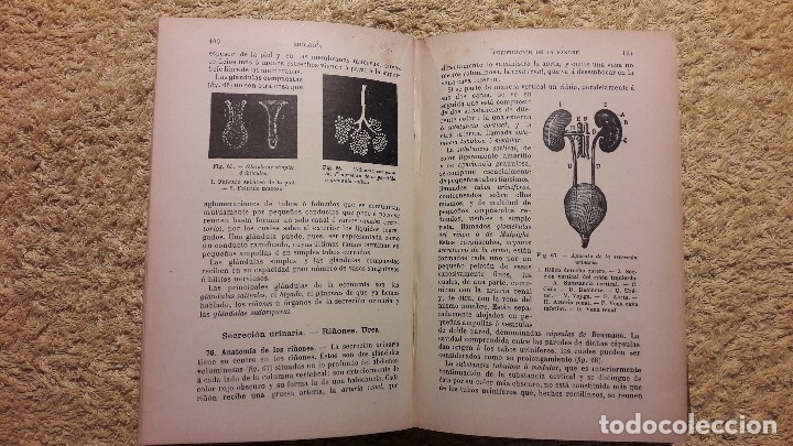 Libros antiguos: Historia natural    j. Langlebert - Foto 4