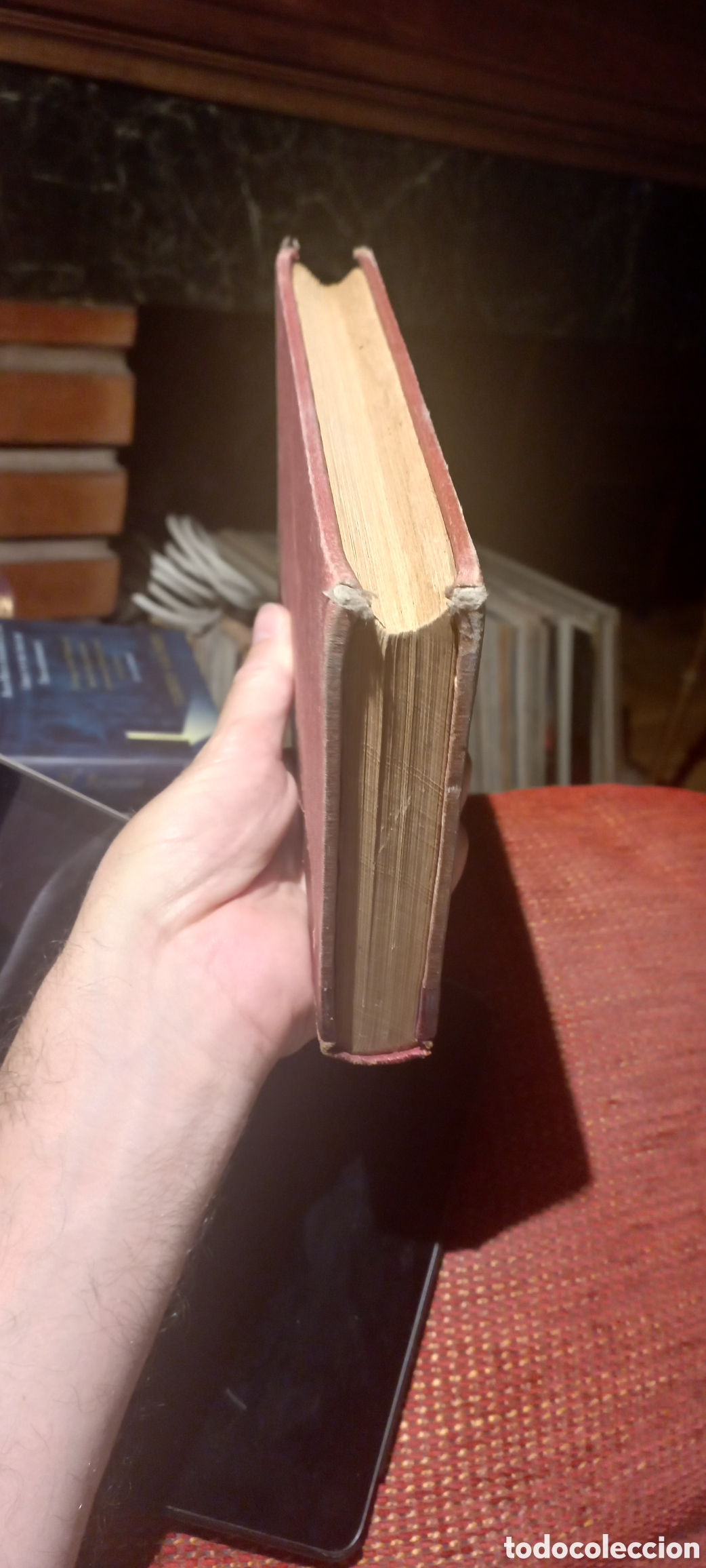 Libros antiguos: El a&ntilde;o 1883, Emilio Catelar - Foto 7