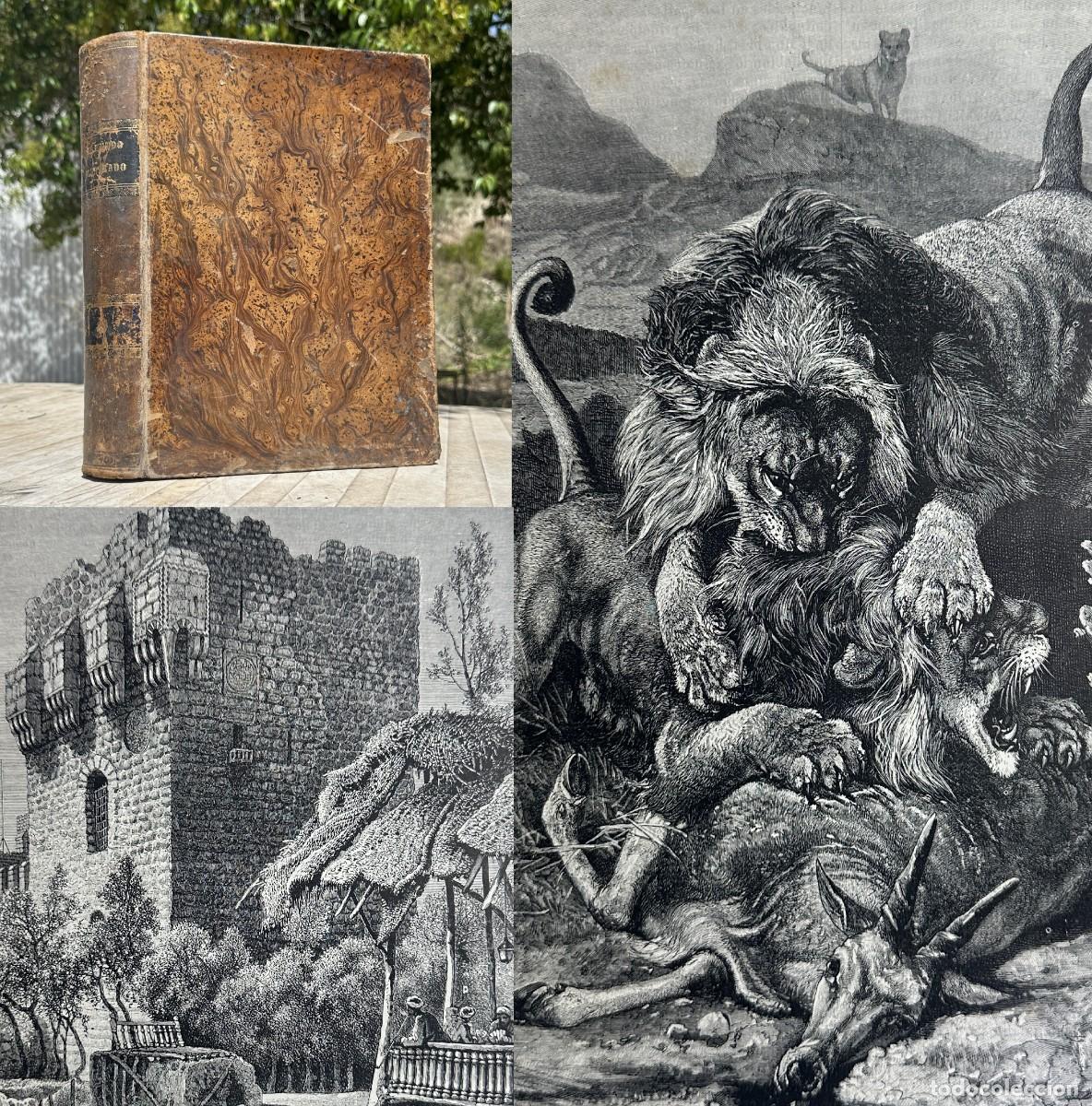 Libros antiguos: a&ntilde;o 1880 - EL MUNDO ILUSTRADO - GEOGRAFIA - HISTORIA - GRABADOS - ANTIGUA ROMA - EGIPTO -