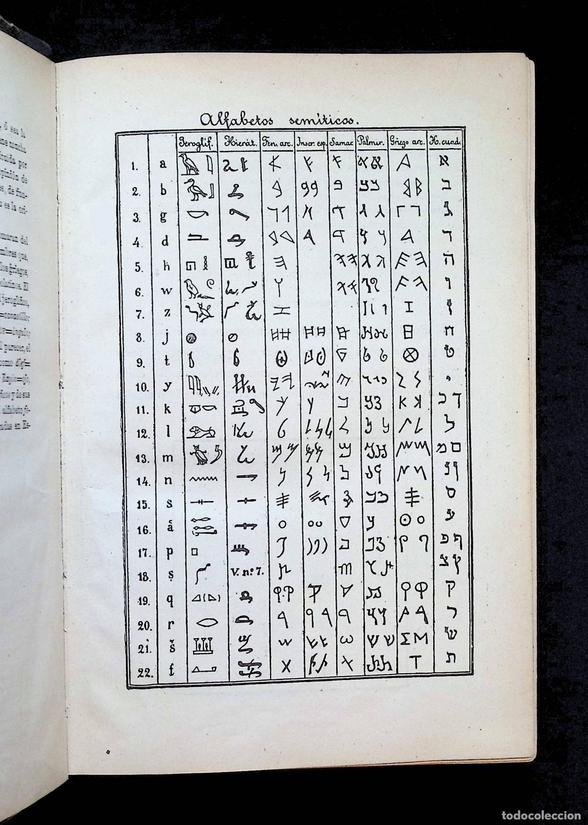 Libros antiguos: GRAM&Aacute;TICA HEBREA TE&Oacute;RICO-PR&Aacute;CTICA. - G&Oacute;MEZ, Pedro. - Foto 2
