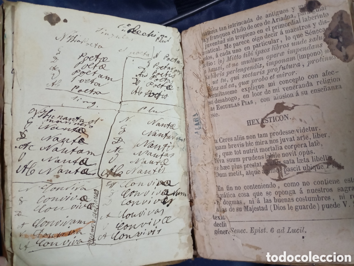 Libros antiguos: Tratado de lat&iacute;n, 1772 - Foto 2