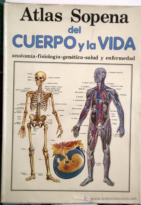 Libros antiguos: EL CUERPO Y LA VIDA (ATLAS SOPENA)