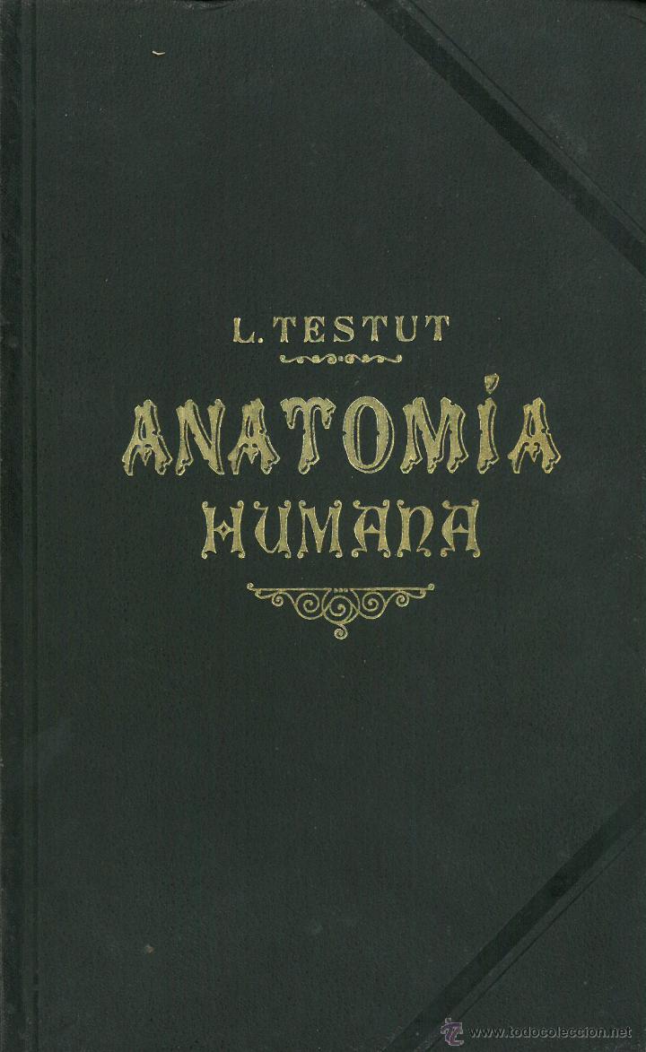 Libro de anatomia quiroz tomo 2 pdf