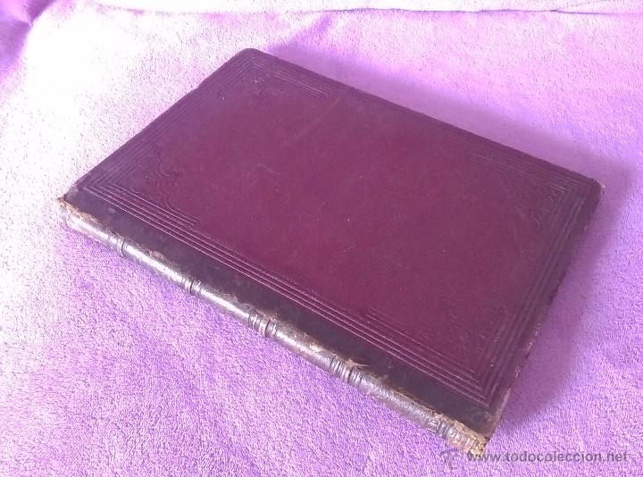 Livres anciens: PLANTAS QUE CURAN Y PLANTAS QUE MATAN NOCIONES DE BOTANICA, DR. RENGADE 1887
