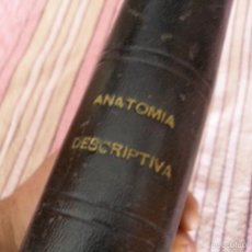 Libros antiguos: ANATOMIA DESCRIPTIVA - AÑOS 20 - LIBRO I - OSTEOLOGIA. Lote 57147325
