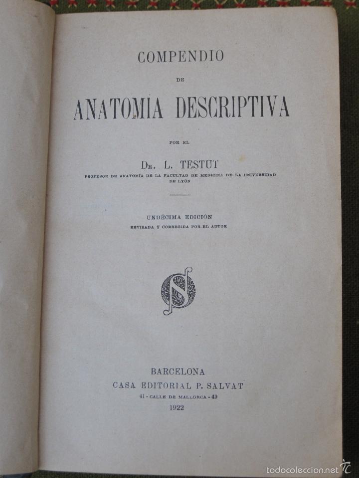 Libros antiguos: COMPENDIO DE ANATOMIA DESCRIPTIVA - BARCELONA 1922. - Foto 3