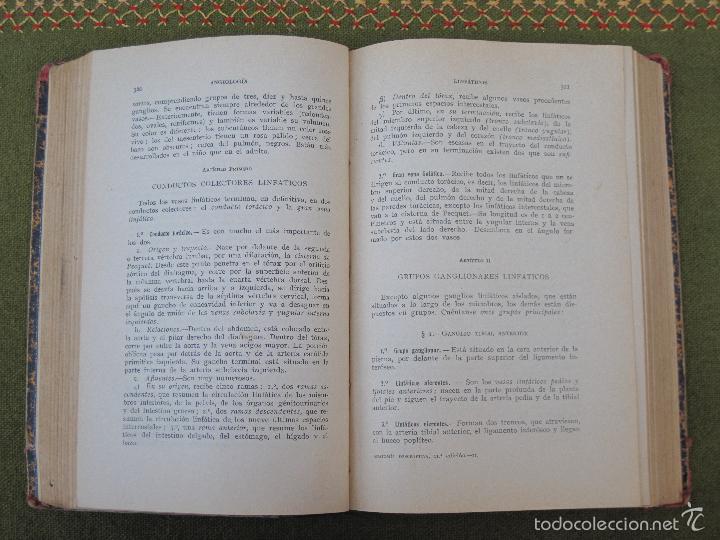 Libros antiguos: COMPENDIO DE ANATOMIA DESCRIPTIVA - BARCELONA 1922. - Foto 4
